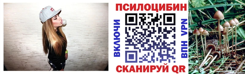Псилоцибиновые грибы Psilocybe  дарнет шоп  Нижние Серги 