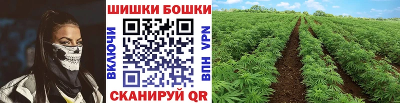 Бошки марихуана ГИДРОПОН  купить наркоту  мега ссылка  Нижние Серги 